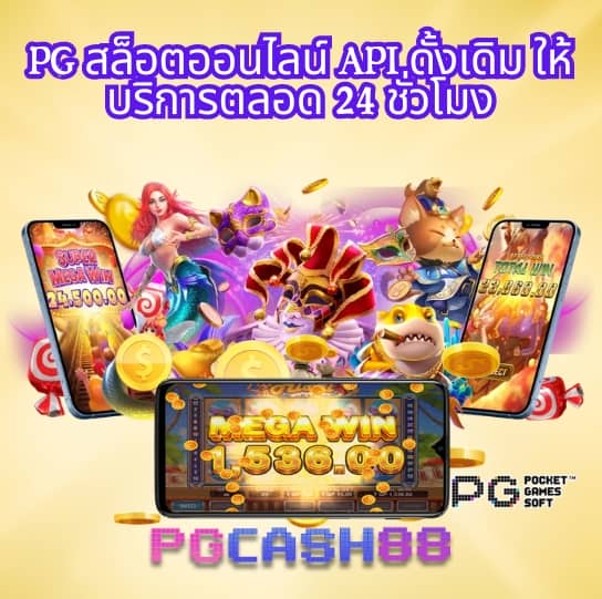 เวป24